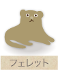 フェレット